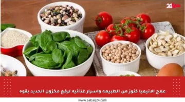 علاج الأنيميا كنوز من الطبيعة وأسرار غذائية لرفع مخزون الحديد بقوة